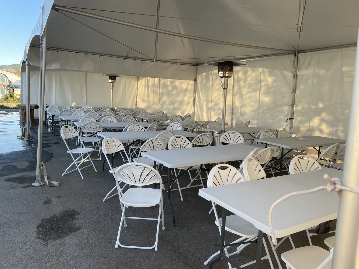 A white frame tent on asphalt with banquet tables, fanback chairs, and two patio heaters