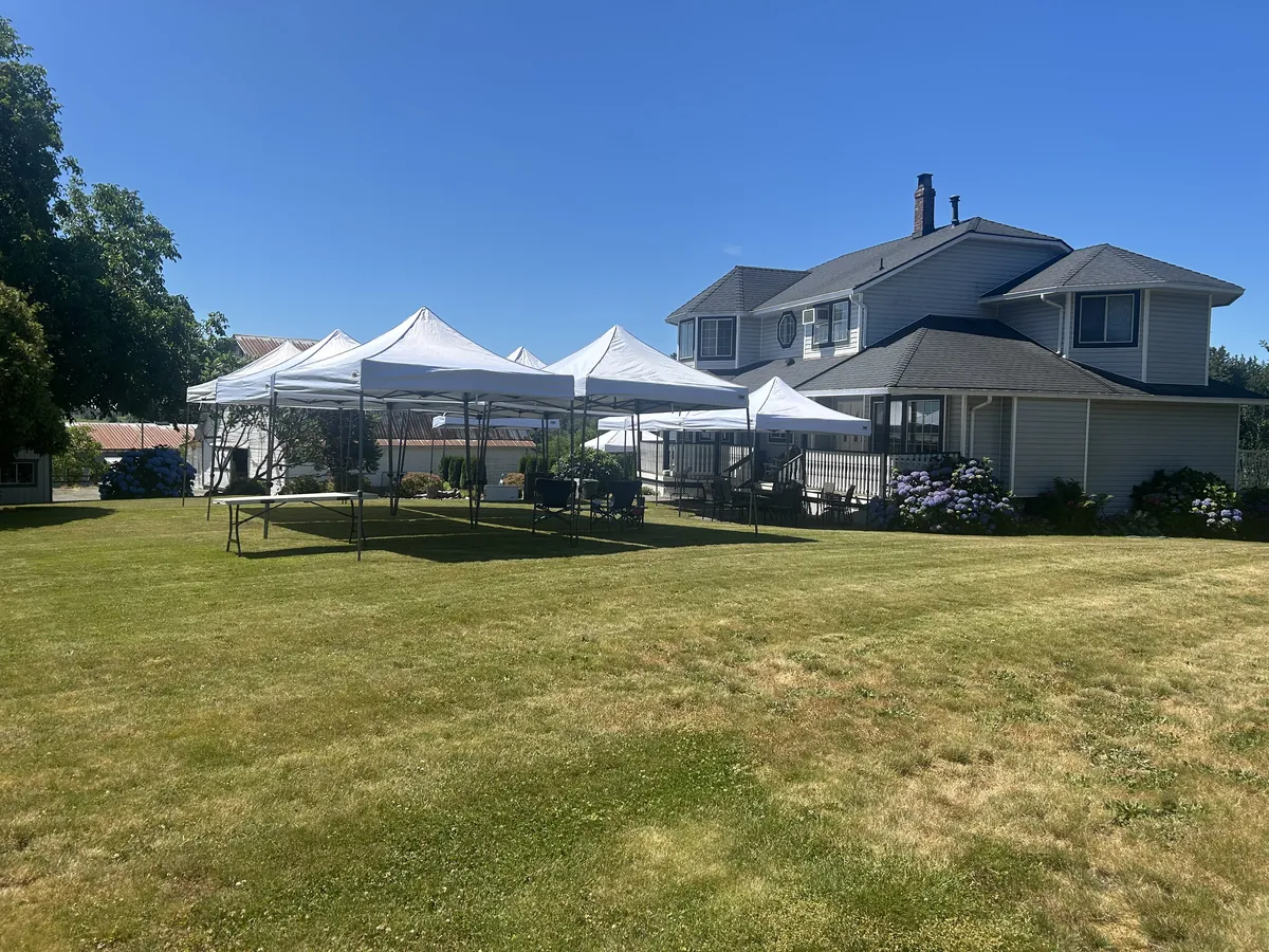 Joined white pop-up canopies on a Langley Township lawn beside a house with hydrangeas