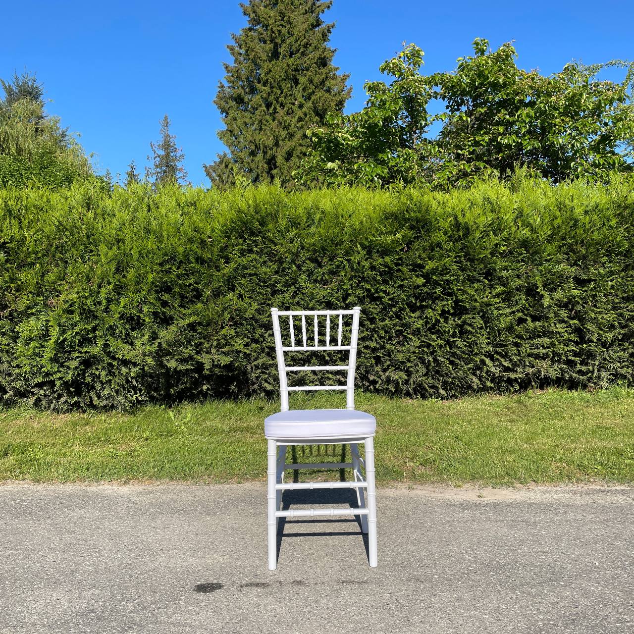 A clean white Chiavari chair photographed against a hedge