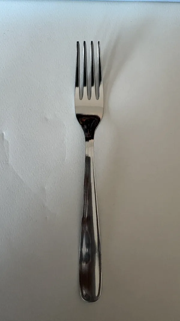 Simple Silver stainless dinner fork